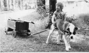 F46 Miep Lenselink met hond en kar 1960